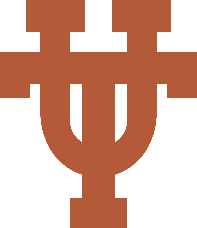 Texas Longhorns 2019-Pres Alternate Logo diy iron on heat transfer